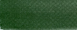 PANPASTEL 660.1 CHROMIUM OXIDE GREEN EXTRA DARK