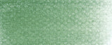 PANPASTEL 660.5 CHROMIUM OXIDE GREEN