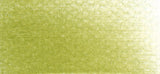 PANPASTEL 680.3 BRIGHT YELLOW GREEN SHADE